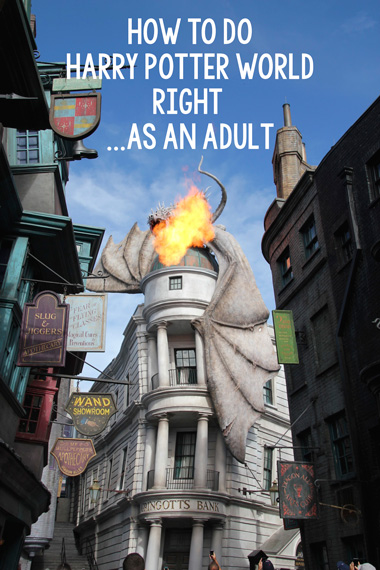 Harry Potter World for Adults